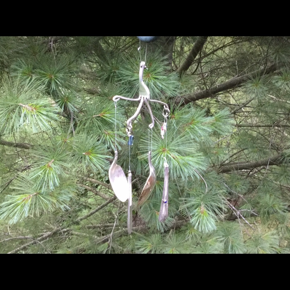 Meet your Posher, Carol